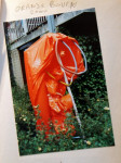 Ik zie oranje 2000